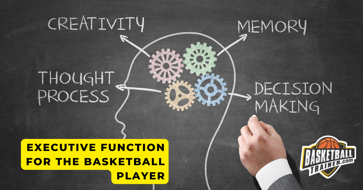 Executive Function & Basketball Level Up Your Game Basketball Trainer